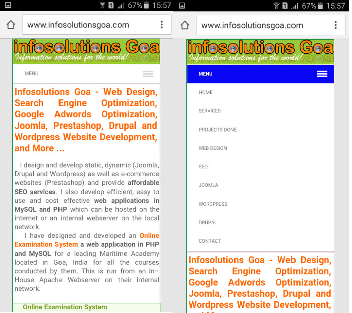 Mobile View of Responsive Website