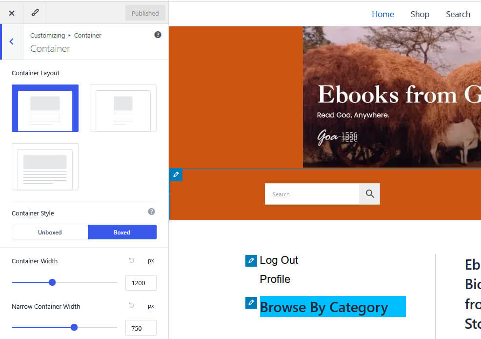 Container settings in Astra Wordpress theme