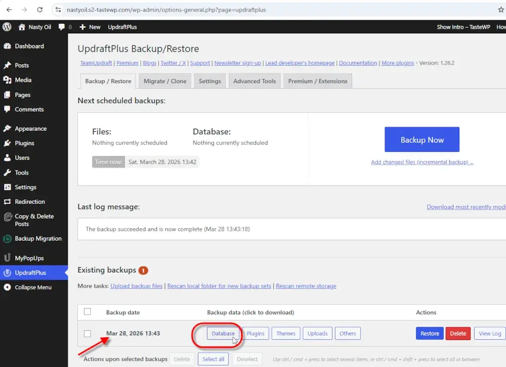 Selecionar a cópia de segurança para transferir no WordPress