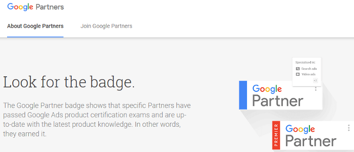 Google Partner for Google Ads