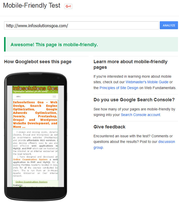 Google's Mobile Friendly test tool