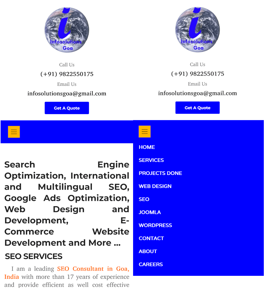Mobile View of Responsive Website